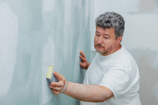 Best Black Mold Removal  in Muncy, PA